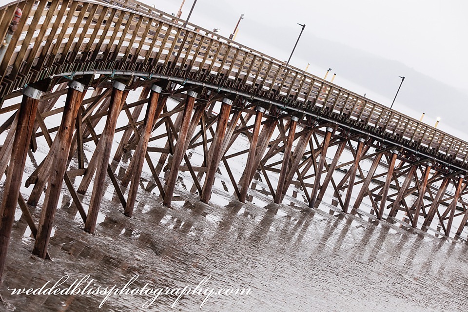 Kelowna Wedding Photographer | Wedded Bliss Photography 2