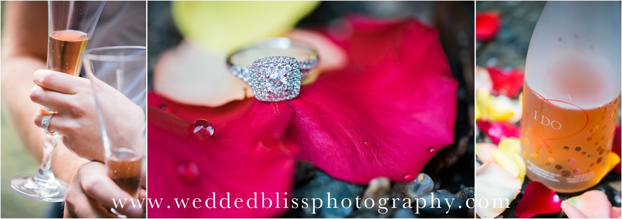 Vernon Wedding Photographer | Wedded Bliss Photography | www.weddedblissphotography.com