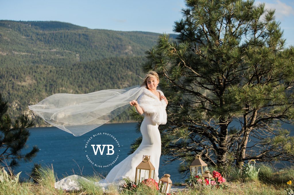 Wedding Photographers in Vernon