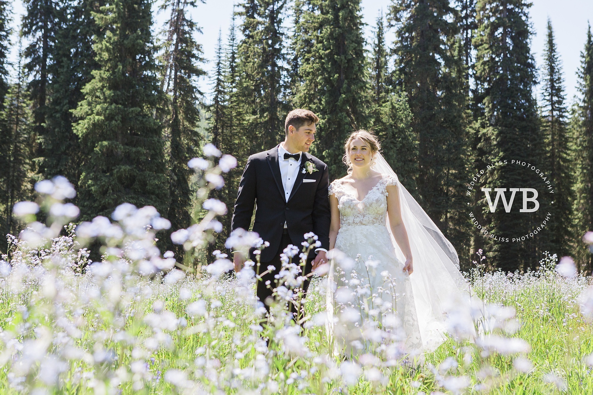 Okanagan Wedding Photographers
