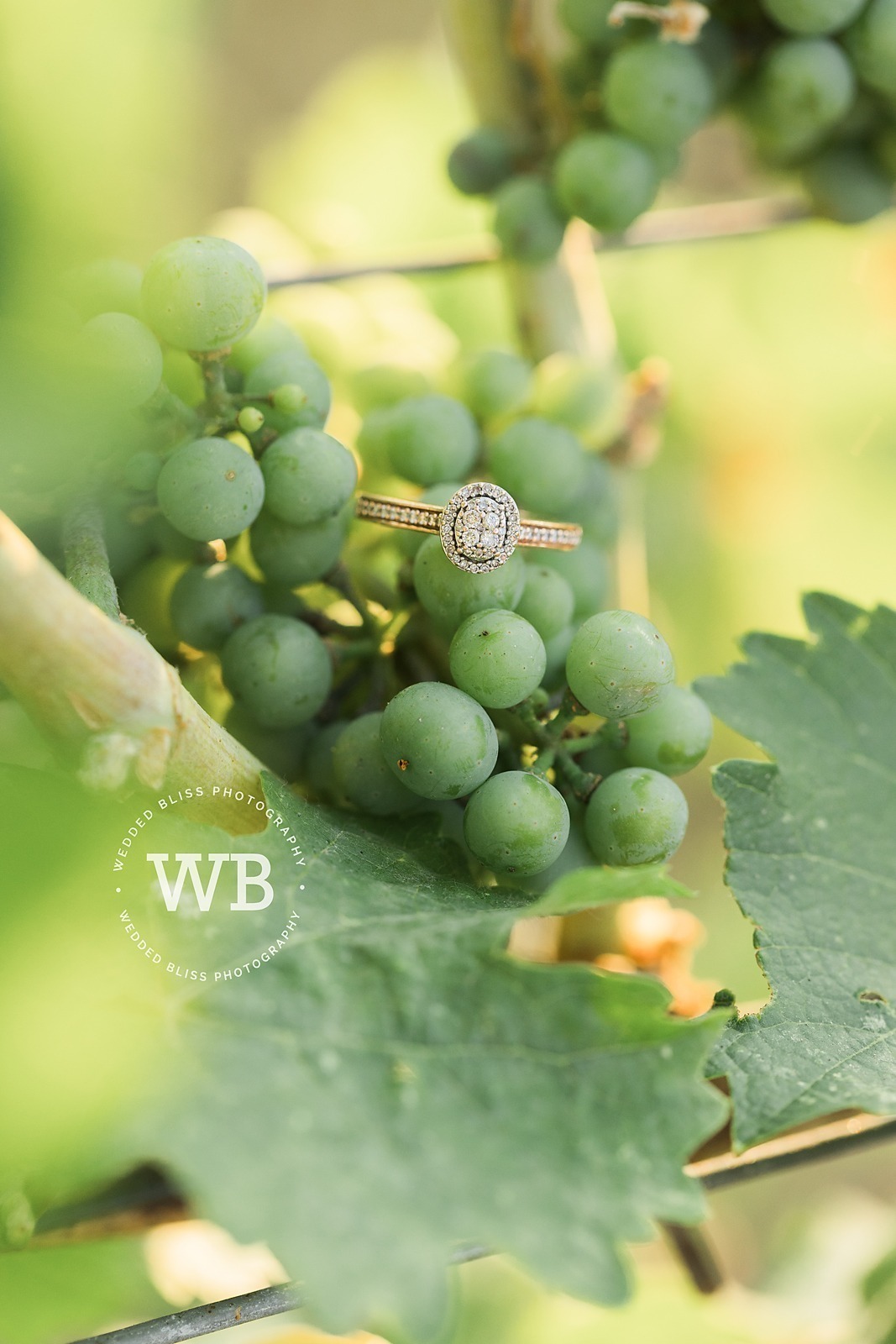 Kelowna Engagement Photographers