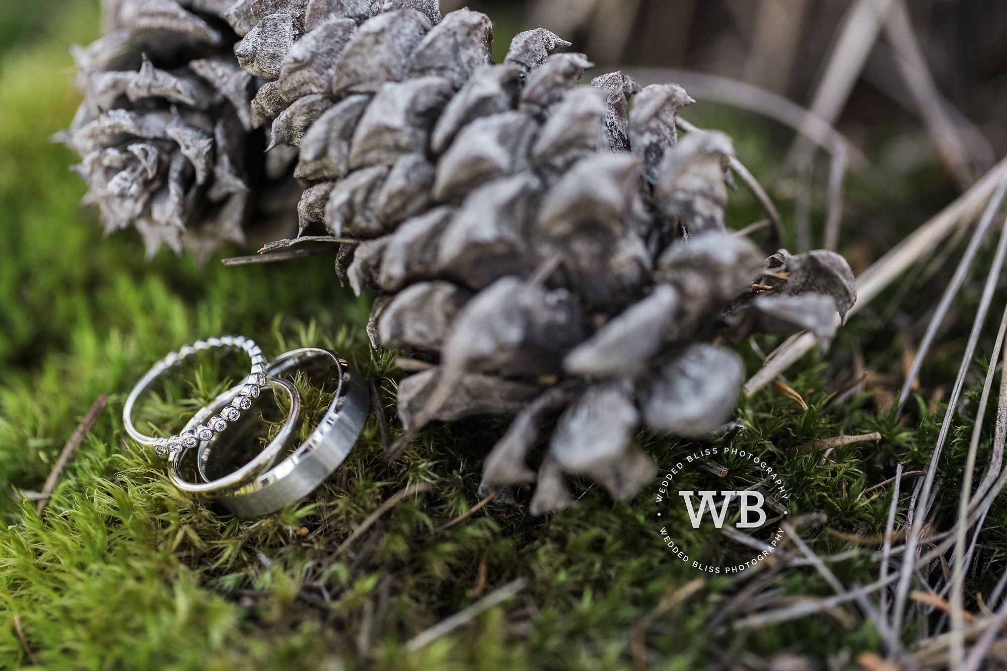 Okanagan Wedding Photographers near me