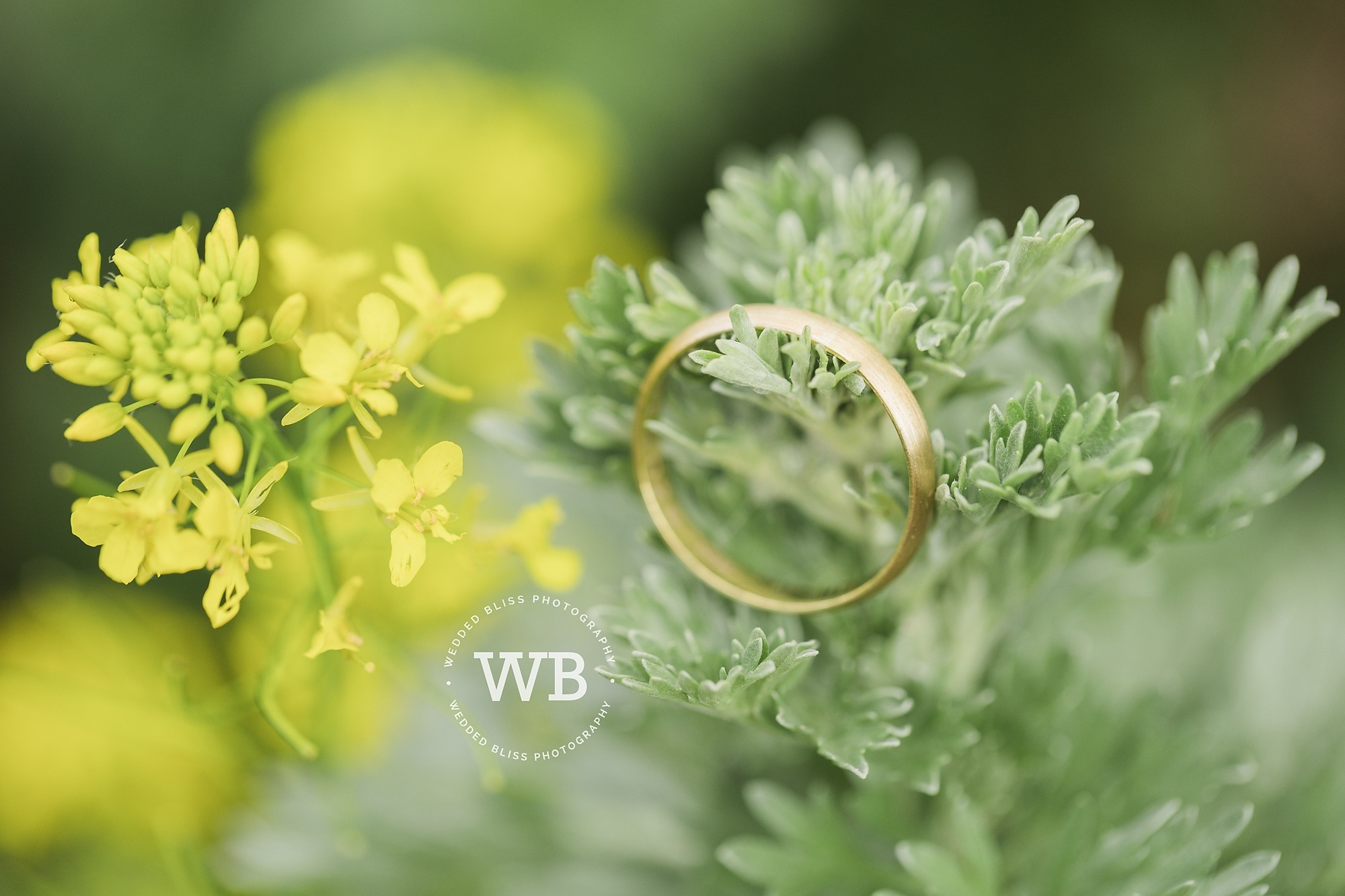 Okanagan Wedding Photographers
