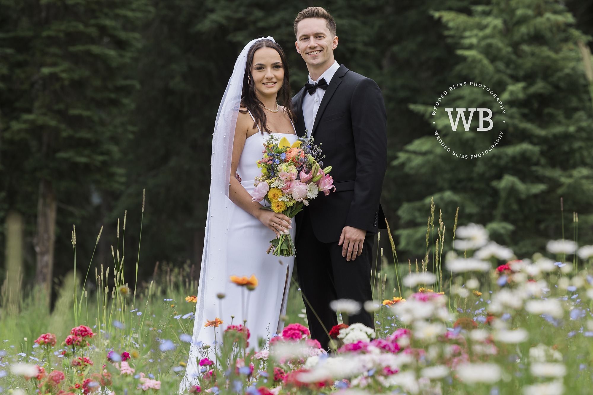 Wedding photographers in the Monashee Mountains