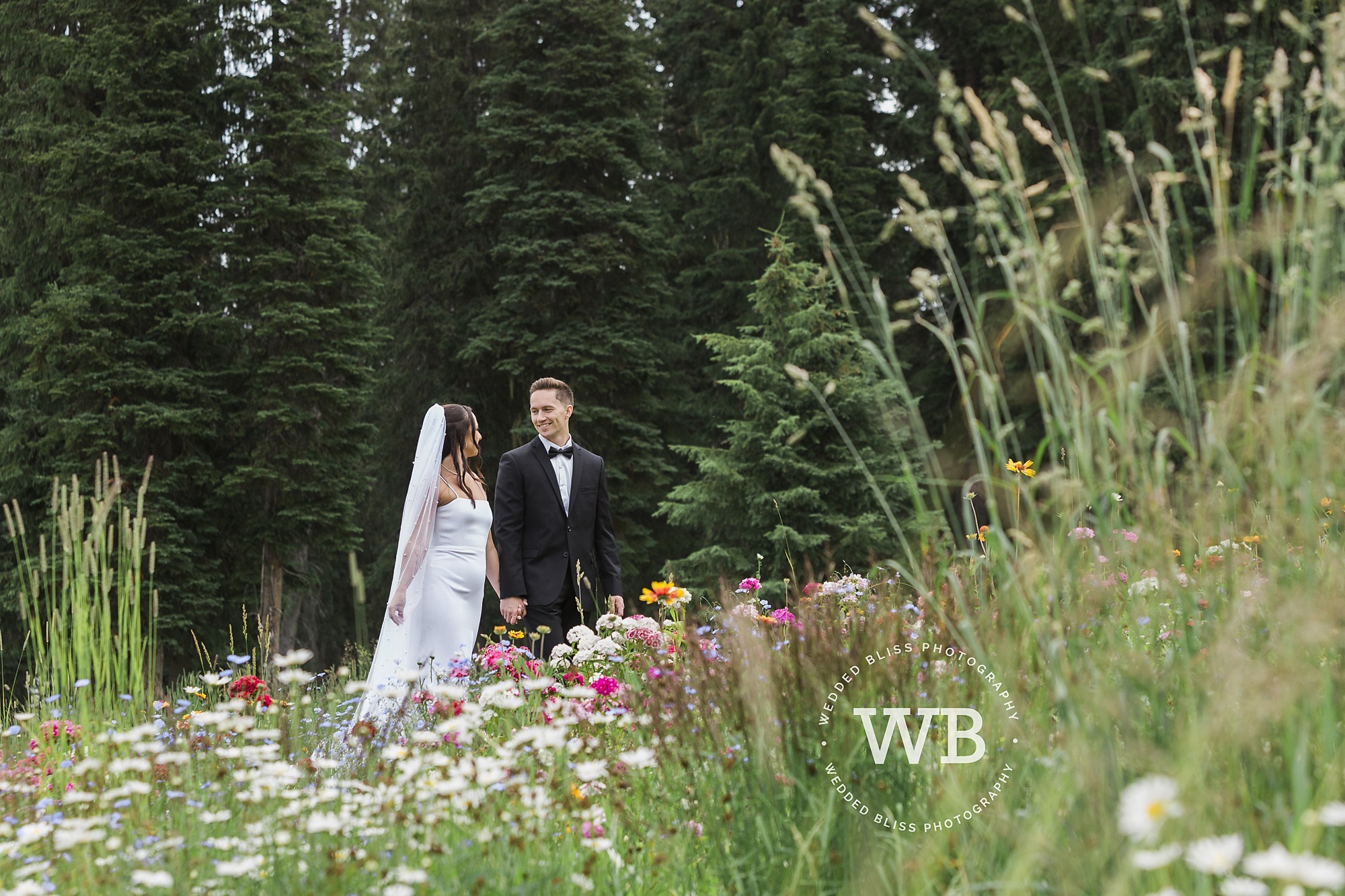 Okanagan Wedding photographers