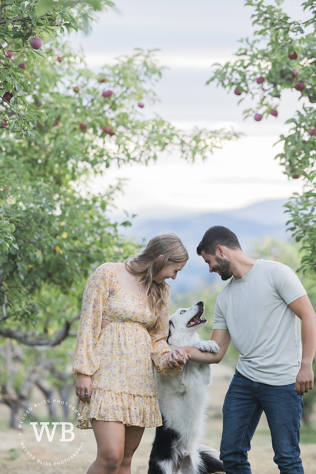 Engagement Portraits in Kelowna