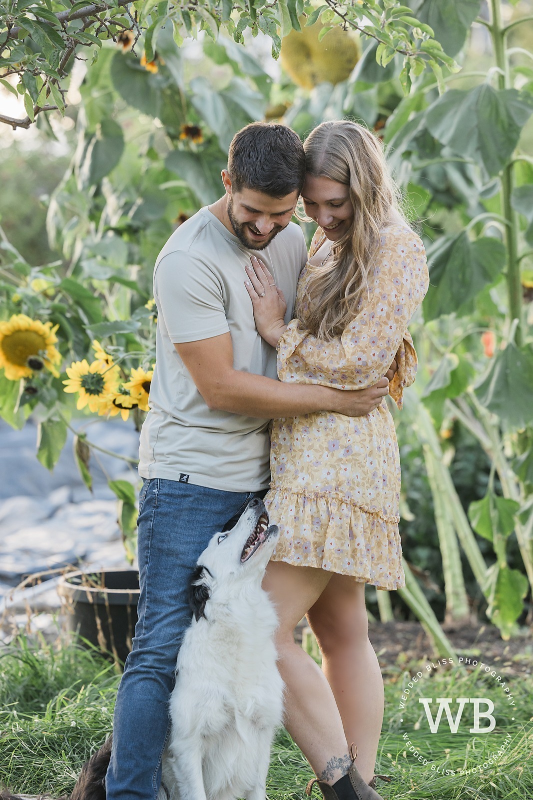 Engagement Portraits in Vernon BC