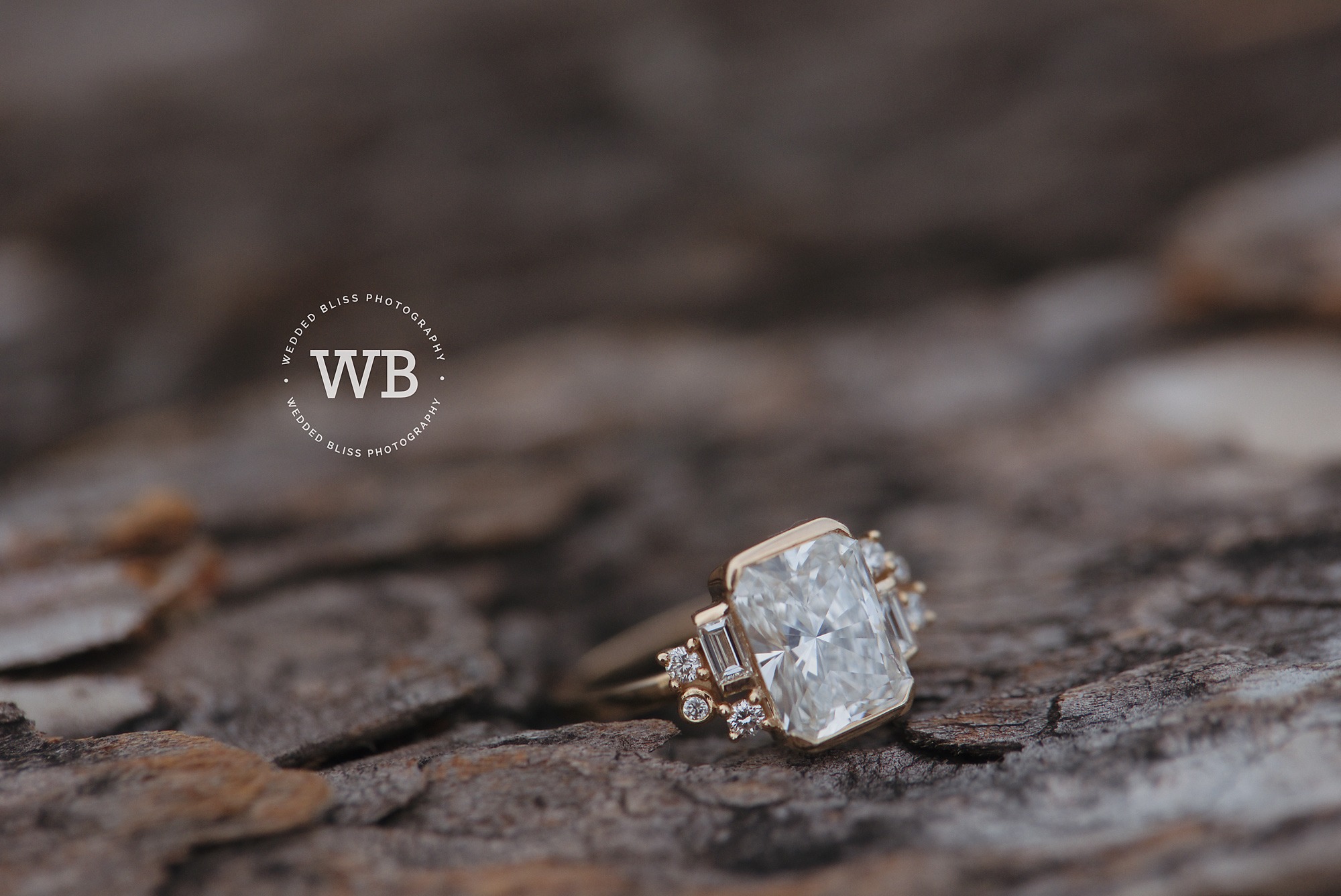 Engagement Photographers in Vernon BC